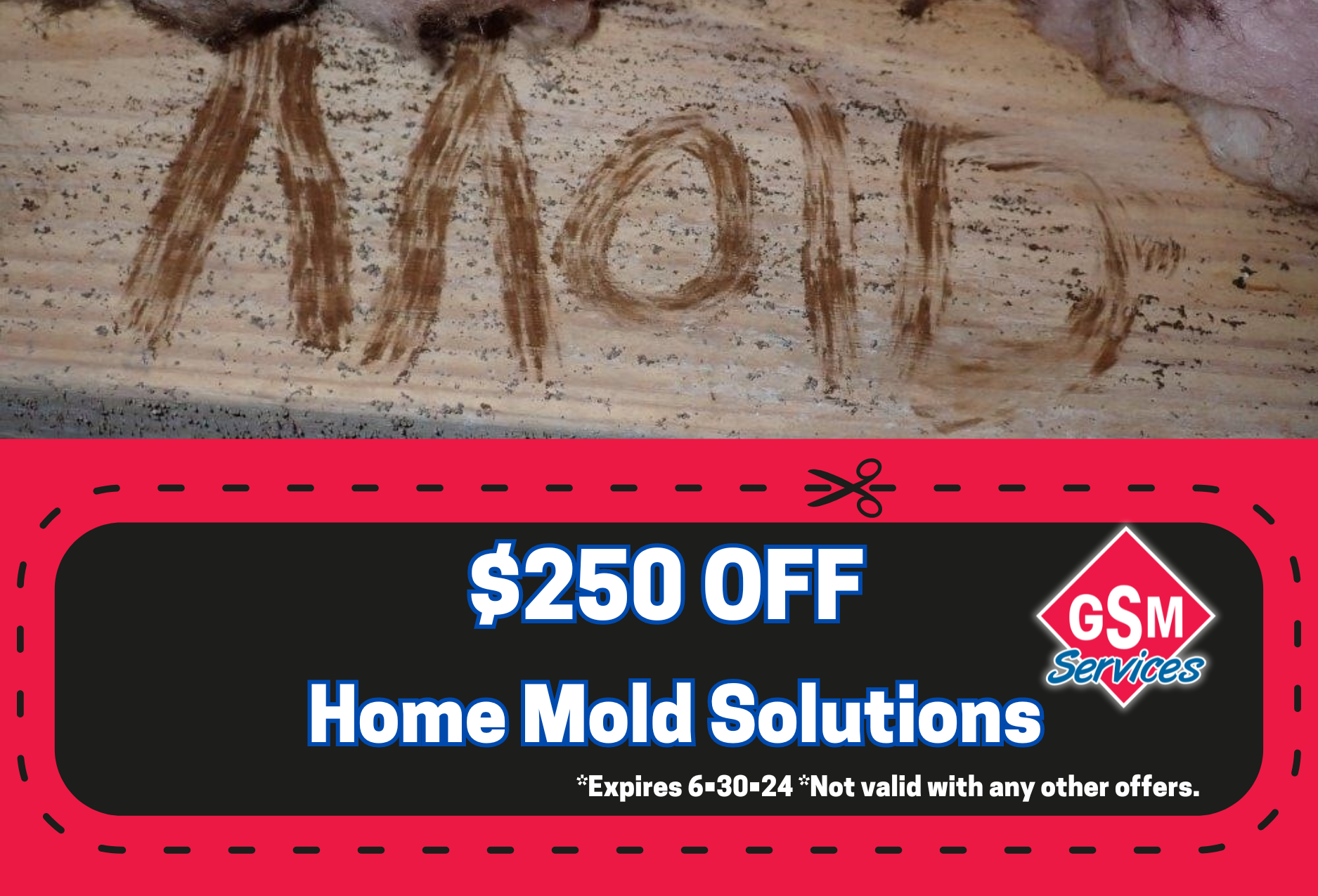 Mold removal near me