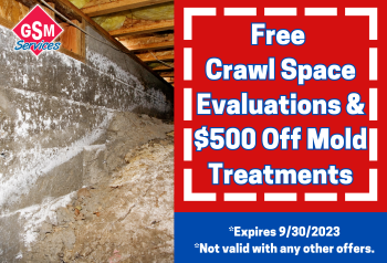 Free Crawl Space Inspection
