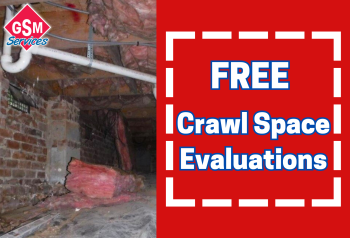 Free Crawl Space Inspection