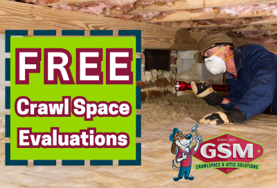crawl space door