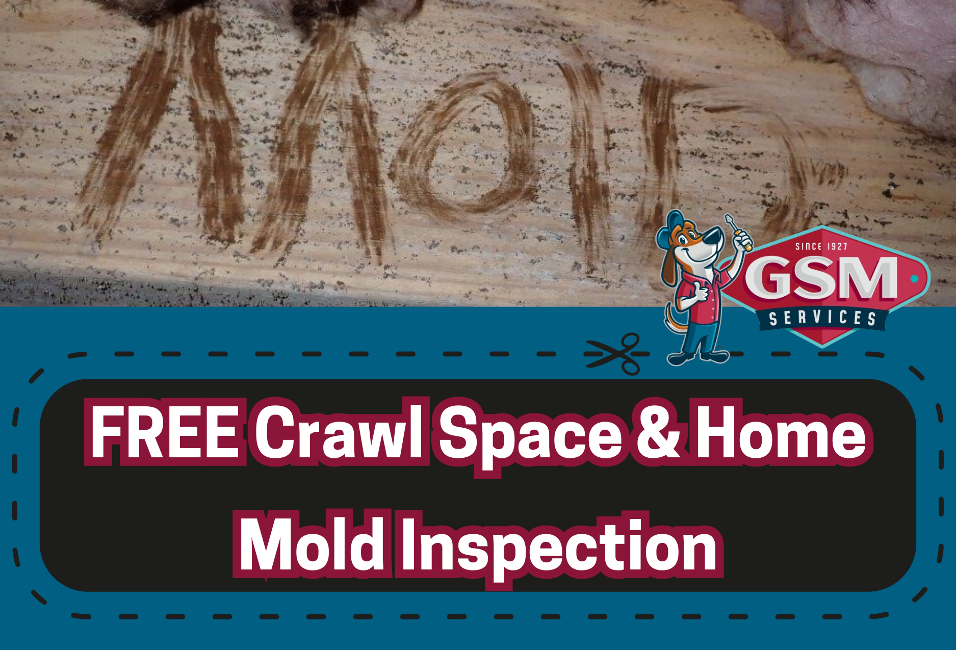 Mold remediation Charlotte Gastonia NC