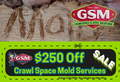 crawl space mold services charlotte nc 